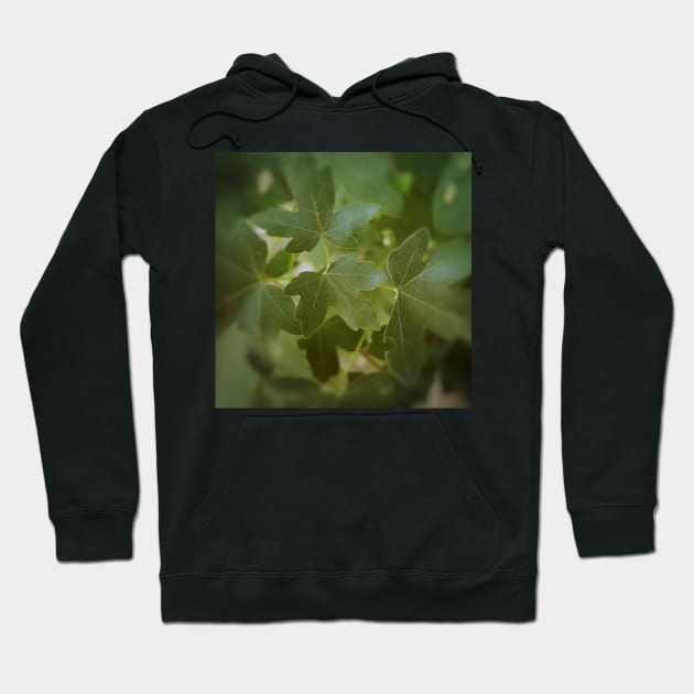 Maple Tree Green Leaves Hoodie by DesignMore21